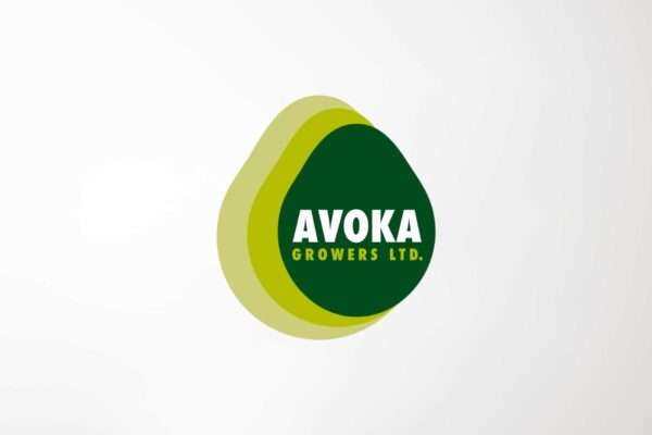 Marlena-Clark-Marketing-and-Design---Logo-Design-Avoka