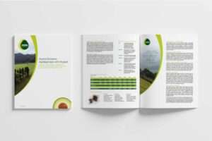 Marlena-Clark-Marketing-and-Design---Marketing-Collateral-Avoka-Business-Plan